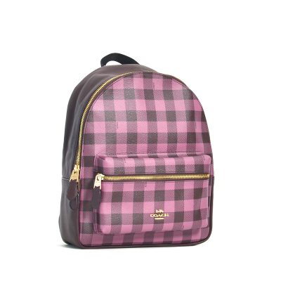 coach gingham purse