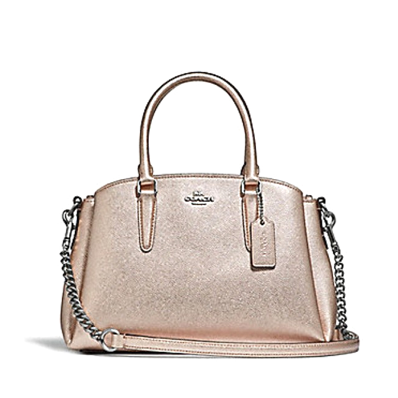 Coach Mini Sage Carryall Platinum - Averand