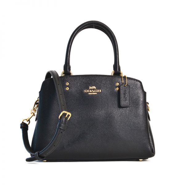 coach women's lillie carryall handbag stores