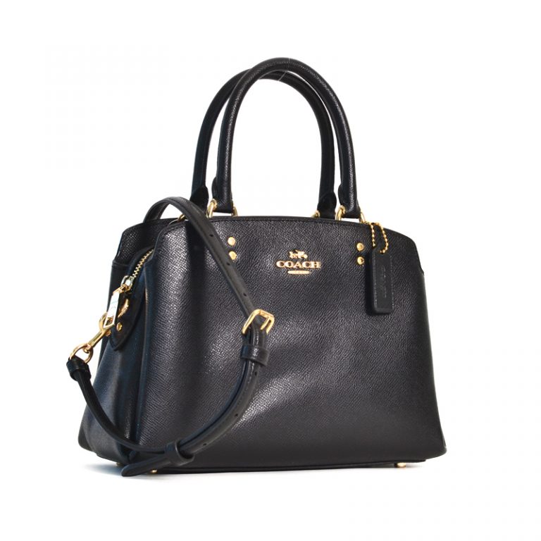 coach women's lillie carryall handbag stores