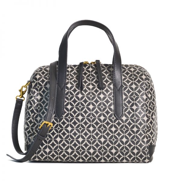 hailey satchel fossil